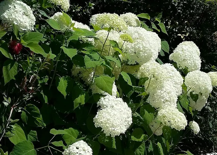 Pensionat Corte Mantovani